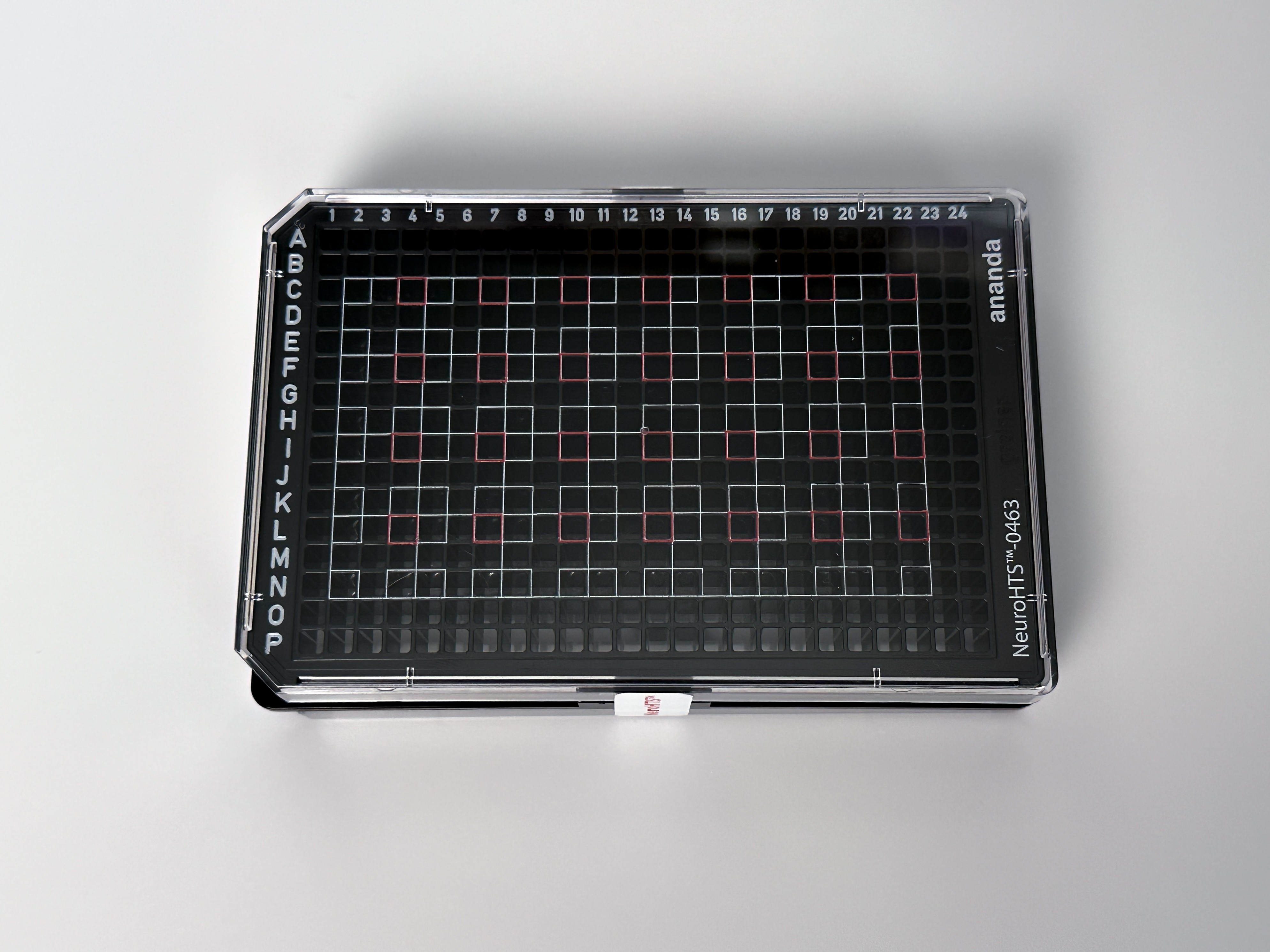 NeuroHTS™ key capability 4